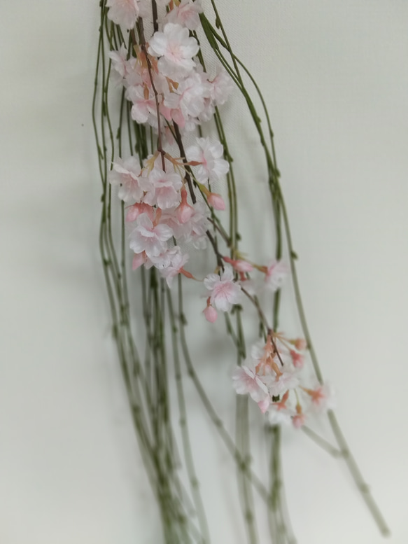 桜と柳のロングスワッグ 4枚目の画像