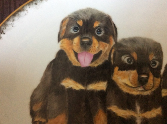 ロットワイラーの子犬の絵皿 2枚目の画像