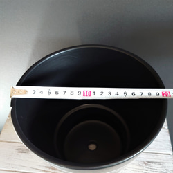 ～閃光の鉢 Ⅴ～ (W20.5cm×H19cm) 9枚目の画像