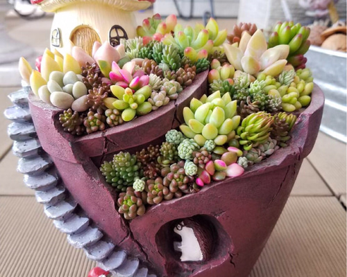 ★多肉植物　寄せ植え〜手作り　木製HOUSE ピンクお屋根のうさぎさん寄せ〜★ ☆多肉植物 寄せ植え〜手作り木製HOUSE ピンク〜☆ - メルカリ