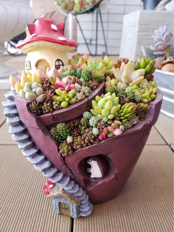 ★多肉植物　寄せ植え〜手作り　木製HOUSE ピンクお屋根のうさぎさん寄せ〜★ ☆多肉植物 寄せ植え〜手作り 木製HOUSE ピンクお屋根のうさぎさん寄せ
