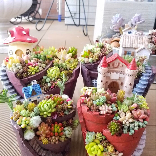 ★多肉植物　寄せ植え〜手作り木製HOUSE うさぎさんのお家寄せ〜★ ☆多肉植物 寄せ植え〜手作り木製HOUSE ピンク〜☆ - メルカリ