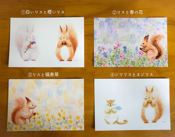 リスとお花のポストカード 2枚目の画像