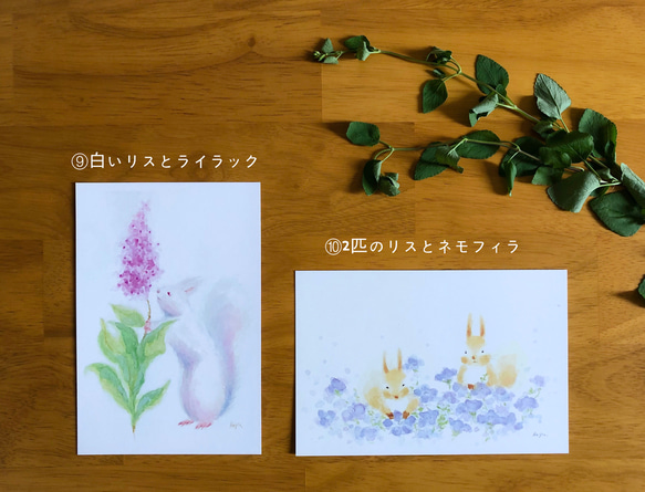 リスとお花のポストカード 4枚目の画像