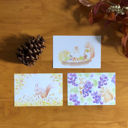 リスと秋の森ポストカード 1枚目の画像
