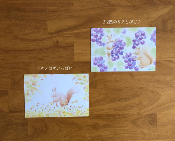 リスと秋の森ポストカード 3枚目の画像