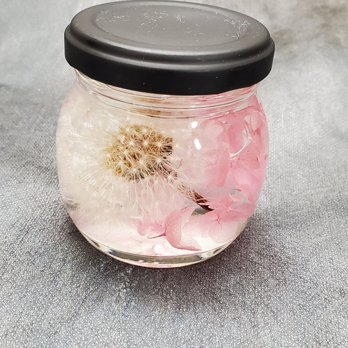 ふわふわタンポポハーバリウム ふわふわ綿毛のたんぽぽハーバリウム(ピンク) ハーバリウム・植物標本