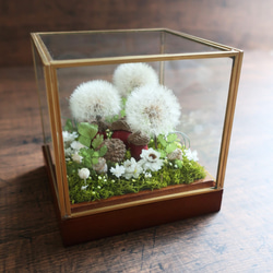 Wardiancase ウォードの箱 】 －タンポポ－ Antique ドライフラワー 花