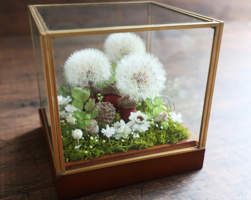 0_1dd83378e54c4e081ca8f6cfa7f0