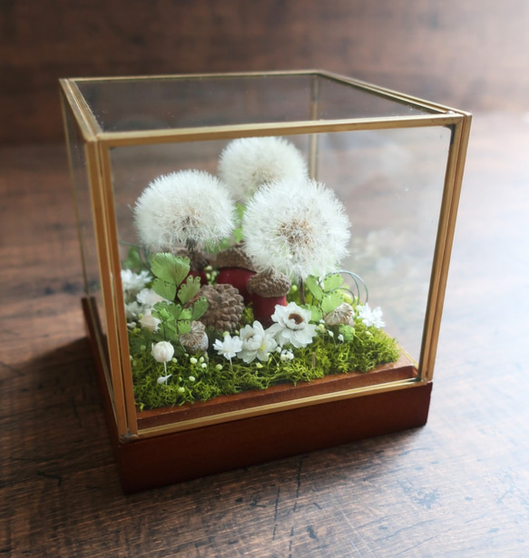 Wardiancase ウォードの箱 】 －タンポポ－ Antique ドライフラワー 花