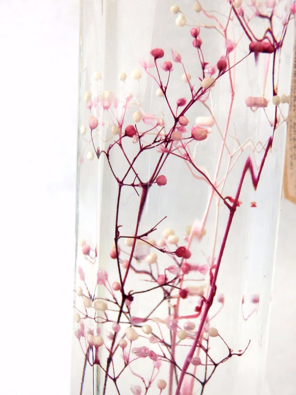植物ノ瓶詰メ標本collection（ハーバリウム）　ミニカスミソウ　ホワイト＆ピンク 3枚目の画像