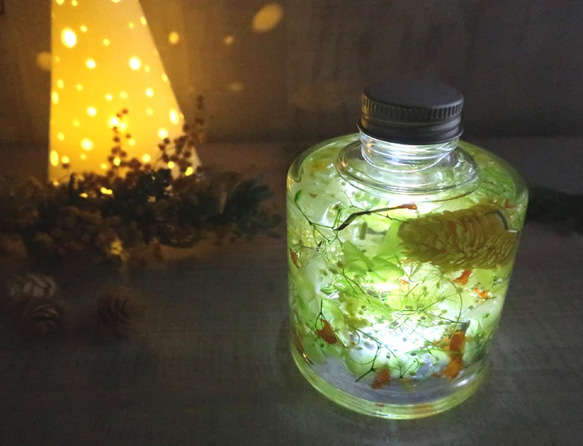 【期間限定】ＬＥＤライトセット・植物ノ瓶詰メ標本collection　「小さな森」イナダヒメの森 1枚目の画像
