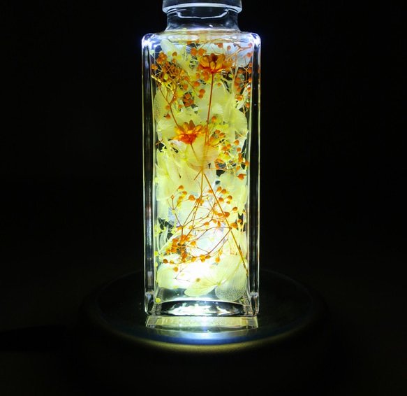 植物ノ瓶詰メ標本Collection　「 山吹－やまぶき－」ショート瓶 7枚目の画像