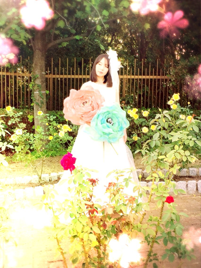 ジャイアントフラワー/ピオニー