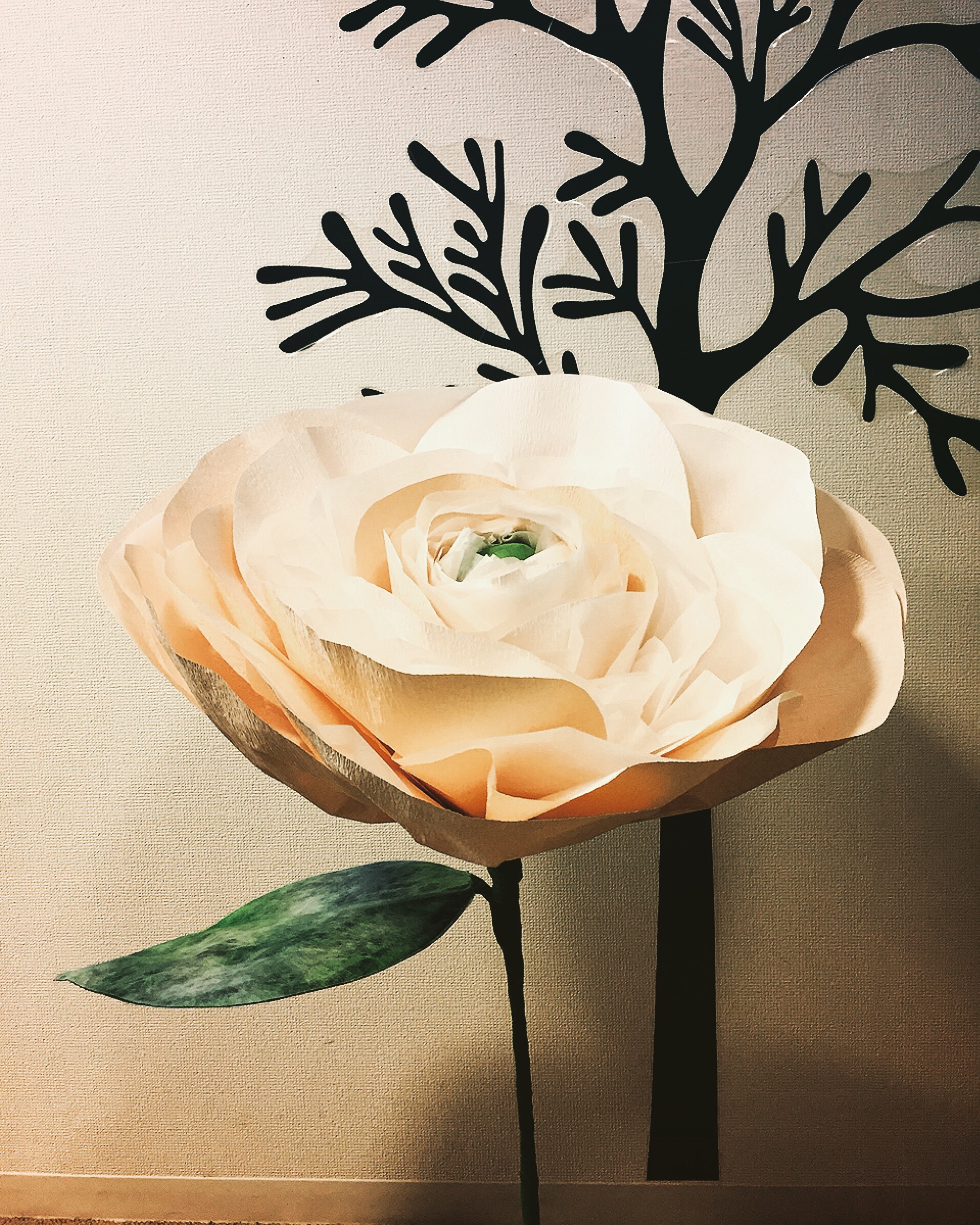 ジャイアントフラワー／ラナンキュラス