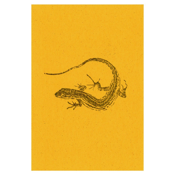 カナヘビのポストカード 1枚目の画像