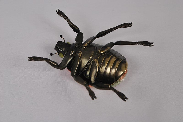 昆虫オブジェ　insectum　ハナムグリ 6枚目の画像