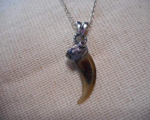 沙華様オーダー品] オオカミ爪のペンダント ネックレス・ペンダント