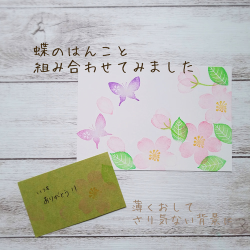 やわらかな桜の花はんこセット（3月4月春の消しゴムはんこ