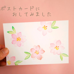 雛祭り【桃の節句】に　桃の花はんこセット（3月春の消しゴムはんこ） 7枚目の画像