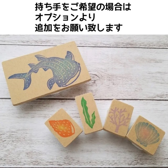  第5張的照片
