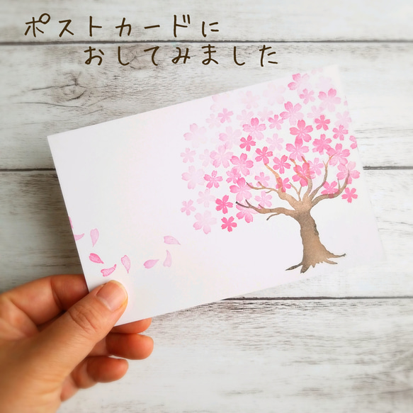 満開の桜の木はんこセット（3月4月春の消しゴムはんこ） 7枚目の画像