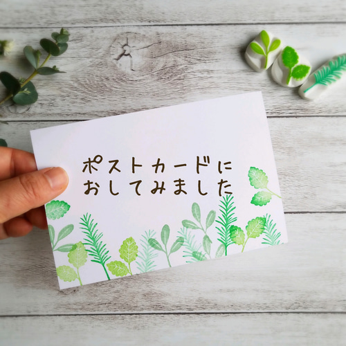 葉っぱ好きがつくったハーブのはんこセット(消しゴムはんこ) はんこ