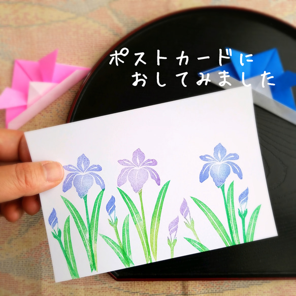 子供の日にも菖蒲のはんこセット(5月端午の節句の消しゴムはんこ) 6枚目の画像