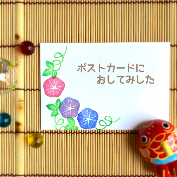 暑中見舞いにも。小さな朝顔のはんこセット（7月8月夏の消しゴムはんこ） 7枚目の画像