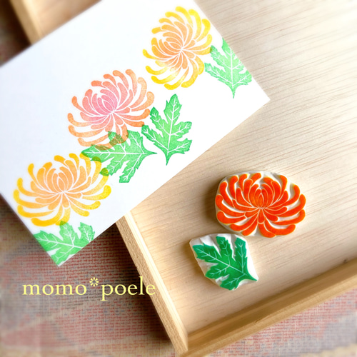 重陽の節句にも・艶やかな菊のはんこセット（9月10月秋の消しゴム