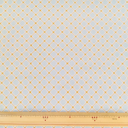 アンナグリフィン  ブルー×ゴールドのバイヤスチェック 2枚目の画像
