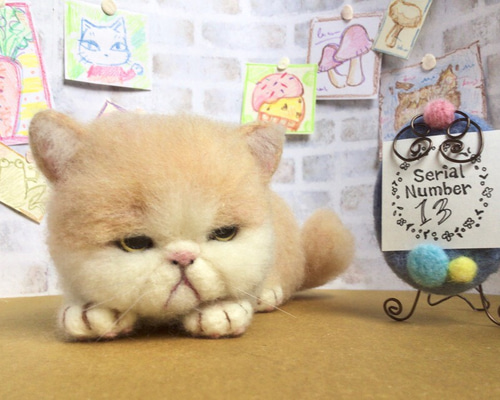 初めて挑戦したエキゾチックショートヘアの猫ちゃんです😊 この
