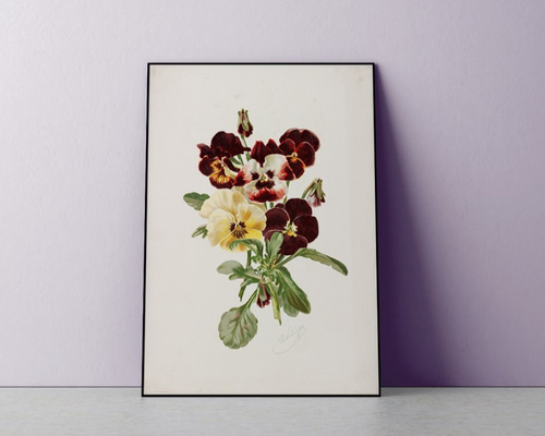 0_10ebc3d461c9e1202eaa2e68e65f