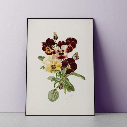 NO.29】パンジーの花ボタニカルフラワーアートポスター☆リビング