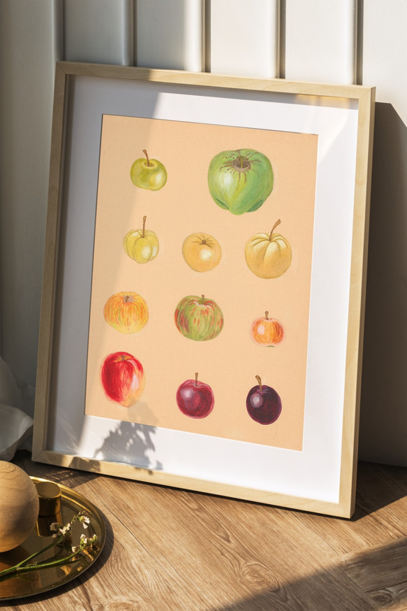 りんごページ 4962336610499_01.jpg