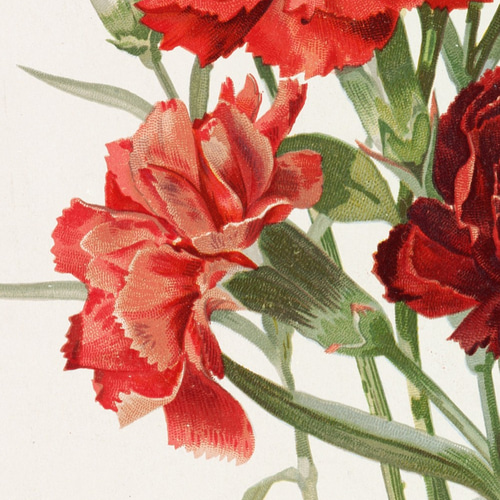 NO.63】母の日☆カーネーションの花束アートポスター☆赤フラワー絵画