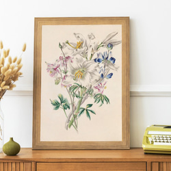 0_04852f029bd2412dc54a2215573c