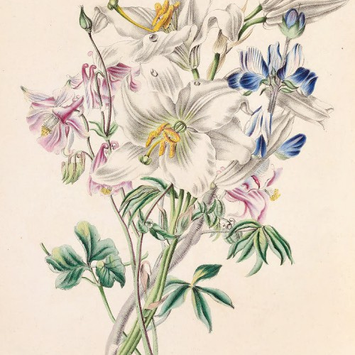 NO.112】百合の花束ブーケポスター☆フラワーナチュラルイラストアート