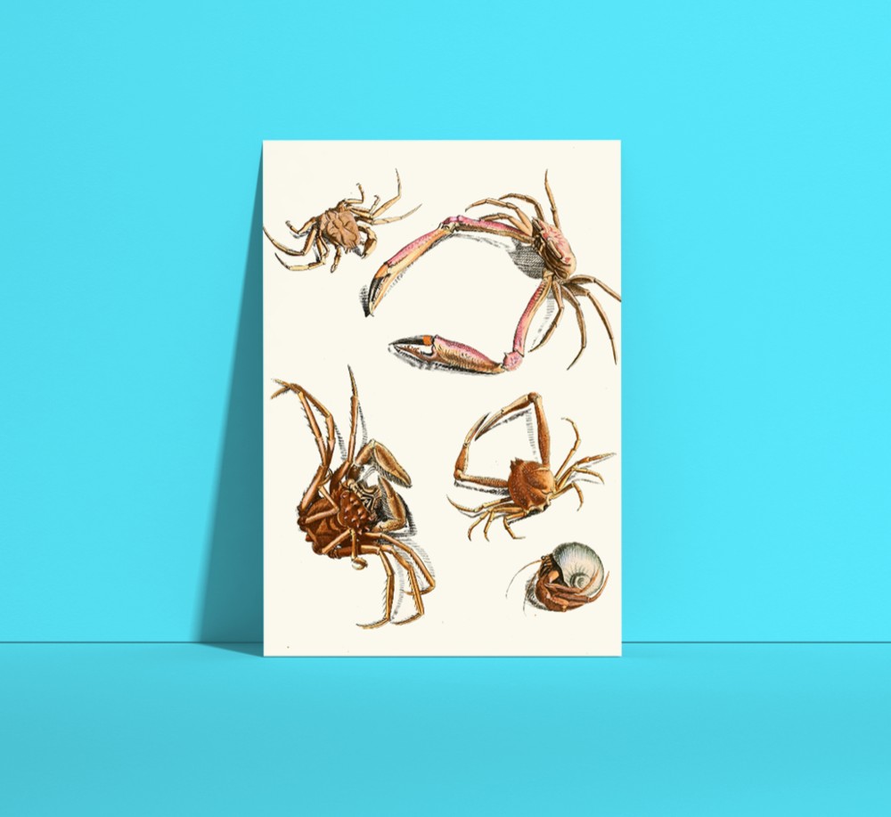絵　絵画　水墨画　蟹　カニ　動物　心鏡　プレゼント　パーティー