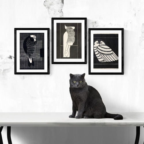 NO.152】モノクロのオウムアートポスター☆白黒モノトーンレトロモダン