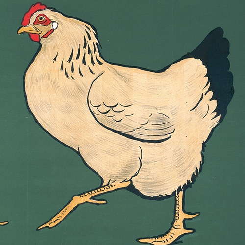 NO.154】ニワトリとヒヨコのレトロポップなアートポスター☆おしゃれ鳥