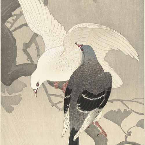 NO.183】鳩の日本画アートポスター☆浮世絵画和室インテリア玄関居間和