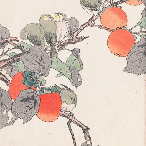 秋冬 鶯と柿の日本画アートポスター☆お正月浮世絵和室インテリア鳥和