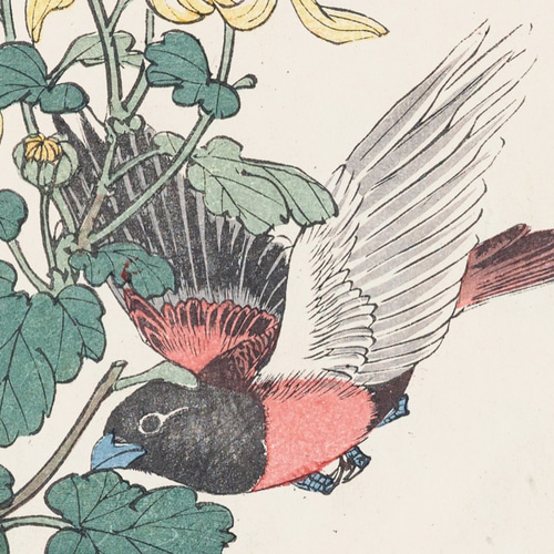 NO.188】菊の花と鳥アートポスター☆浮世絵日本画和室インテリア