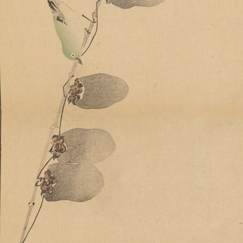 NO.189】鶯と干し柿アートポスター☆水墨画浮世絵日本画和室インテリア