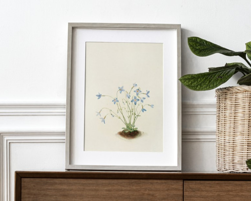 0_2774e93780fc3ef97b9d5a108399