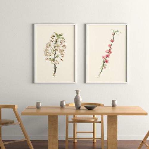 花柄 ピンク ボタニカル フラワーアート 花図鑑 花絵　花柄 原画 フラワーアート 花の絵 花柄 ボタニカル 花図鑑 花