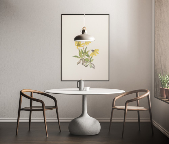 【NO.207】アルニカの花フラワーイラストアートポスター☆黄色の花★ボタニカルナチュラルインテリア植物アンティーク上品 8枚目の画像