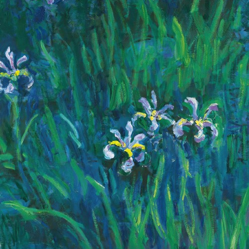 NO.212】アイリスの花の絵画アートポスター☆菖蒲ボタニカルフラワー