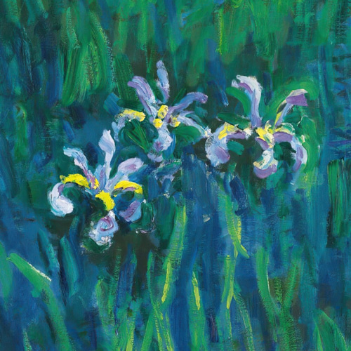 NO.212】アイリスの花の絵画アートポスター☆菖蒲ボタニカルフラワー